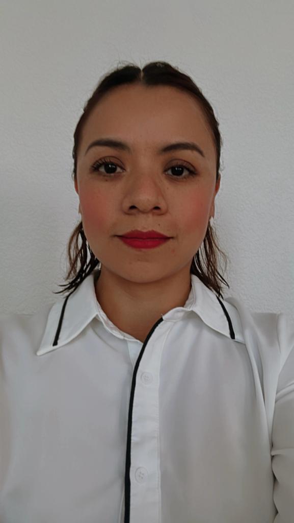 Mtra. Diana Nayeli Palomares Mendez.